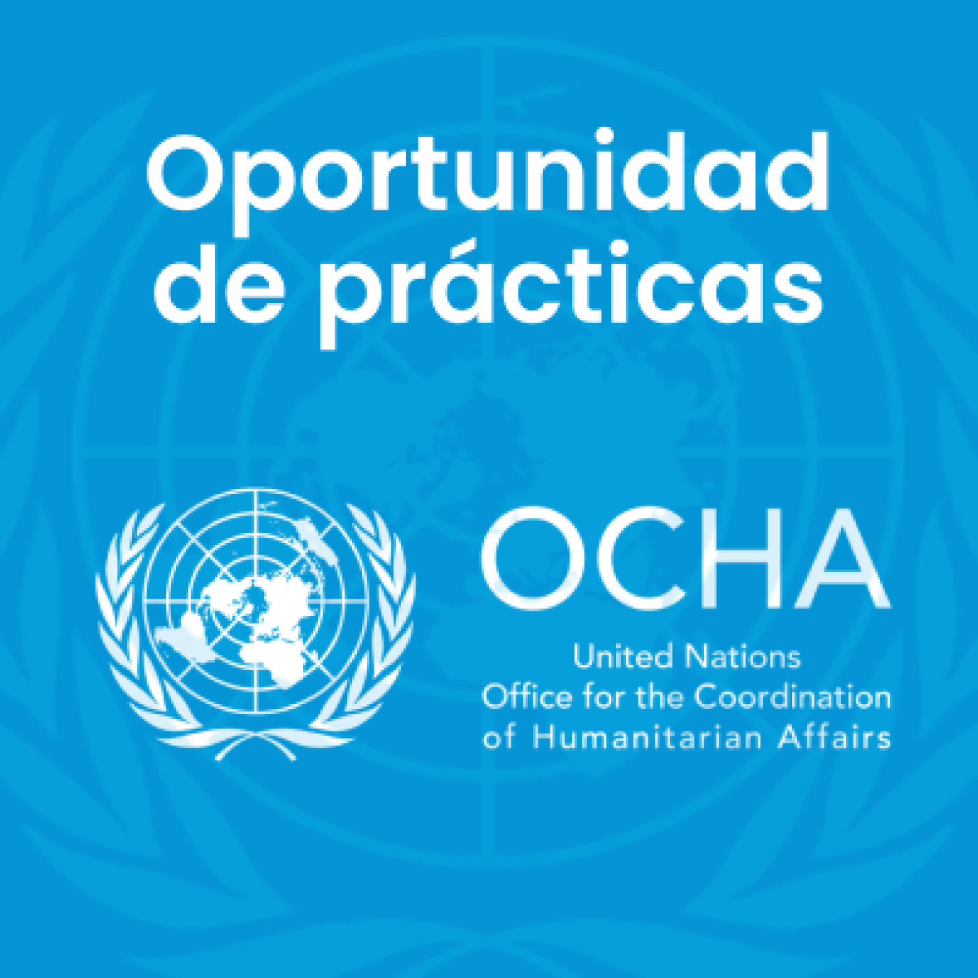 ocha prácticas